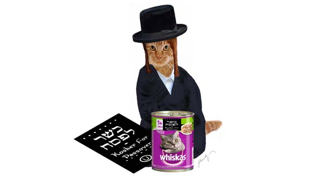 Passover Moshe the Kosher Kitty Israel Between The Lines