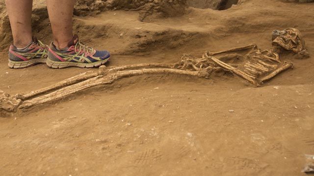 Findings by the Leon Levy Expedition to Ashkelon (Credit: Courtesy)