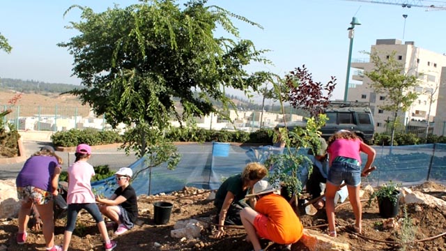 Volunteers planting fruit and veg in Modiin (Credit: City of Modiin)